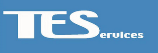 TESERVICES logo