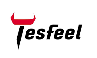TESFEEL logo