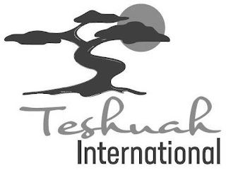 TESHUAH INTERNATIONAL logo