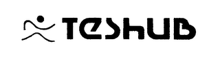 TESHUB logo