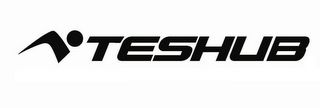 TESHUB logo
