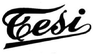 TESI logo