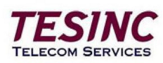 TESINC TELECOM SERVICES logo