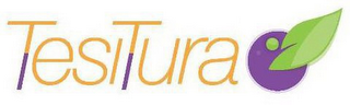 TESITURA logo