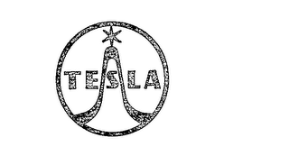 TESLA logo