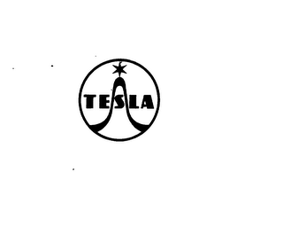 TESLA logo