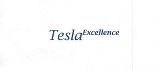 TESLA EXCELLENCE logo