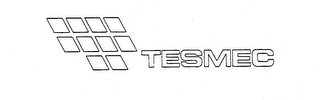 TESMEC logo