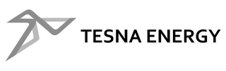 TESNA ENERGY logo