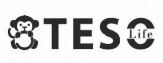 TESO LIFE logo
