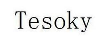 TESOKY logo