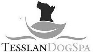 TESSLANDOGSPA