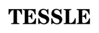 TESSLE logo
