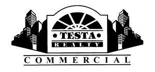 TESTA REALTY COMMERCIAL logo