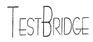 TESTBRIDGE logo