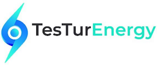TESTUR ENERGY logo