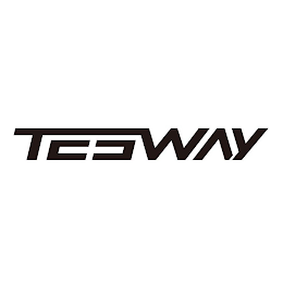 TESWAY logo