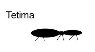 TETIMA logo