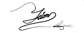 TETON logo