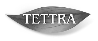 TETTRA logo