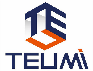 TEUMI TE logo