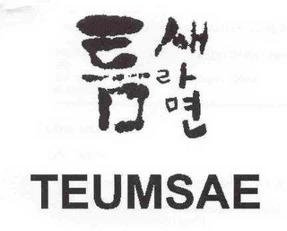 TEUMSAE logo