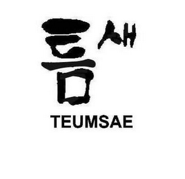 TEUMSAE logo