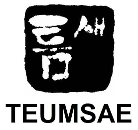 TEUMSAE logo