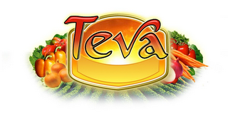 TEVA logo