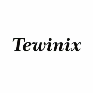 TEWINIX logo