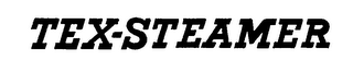 TEX-STEAMER logo