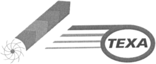TEXA logo