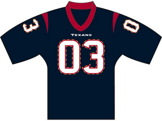 TEXANS 03 logo