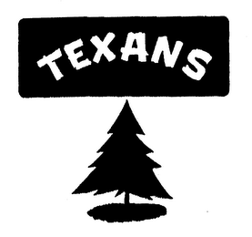 TEXANS logo