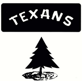 TEXANS logo