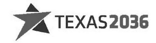 TEXAS 2036 logo