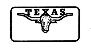 TEXAS logo