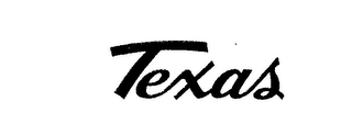 TEXAS logo