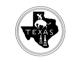 TEXAS logo