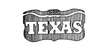 TEXAS logo
