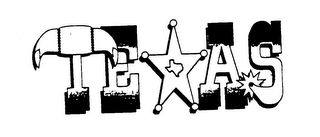 TEXAS logo