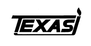 TEXAS logo