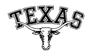 TEXAS logo