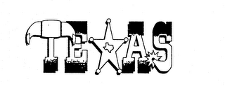 TEXAS logo