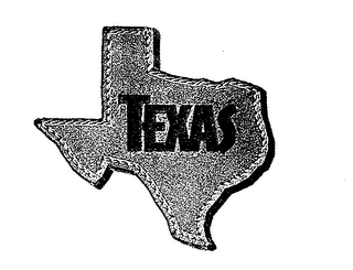 TEXAS logo