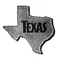TEXAS logo