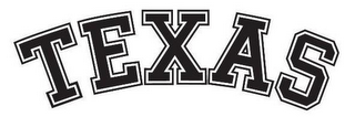 TEXAS logo