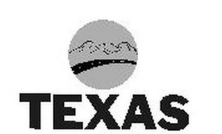 TEXAS logo