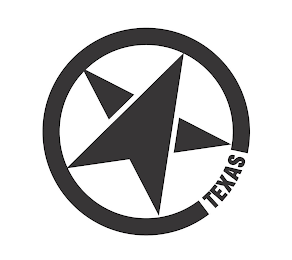 TEXAS logo