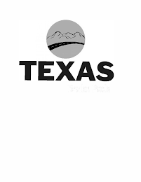 TEXAS logo
